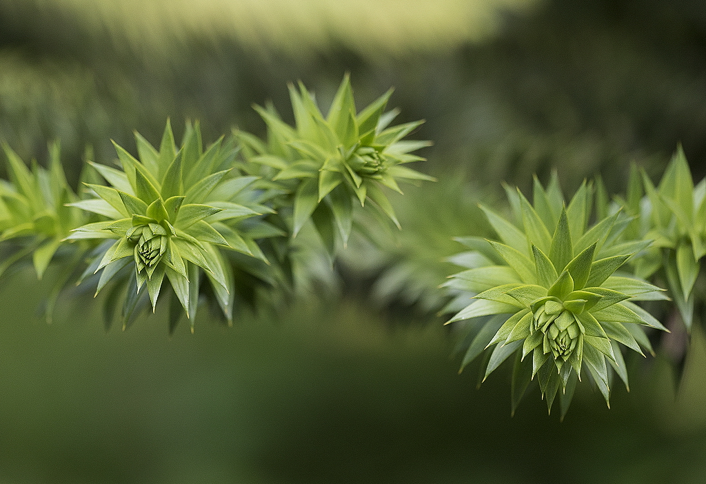 4711 Wuppertal Zoo KA7_2817 als Smartobjekt-1 Kopie.jpg